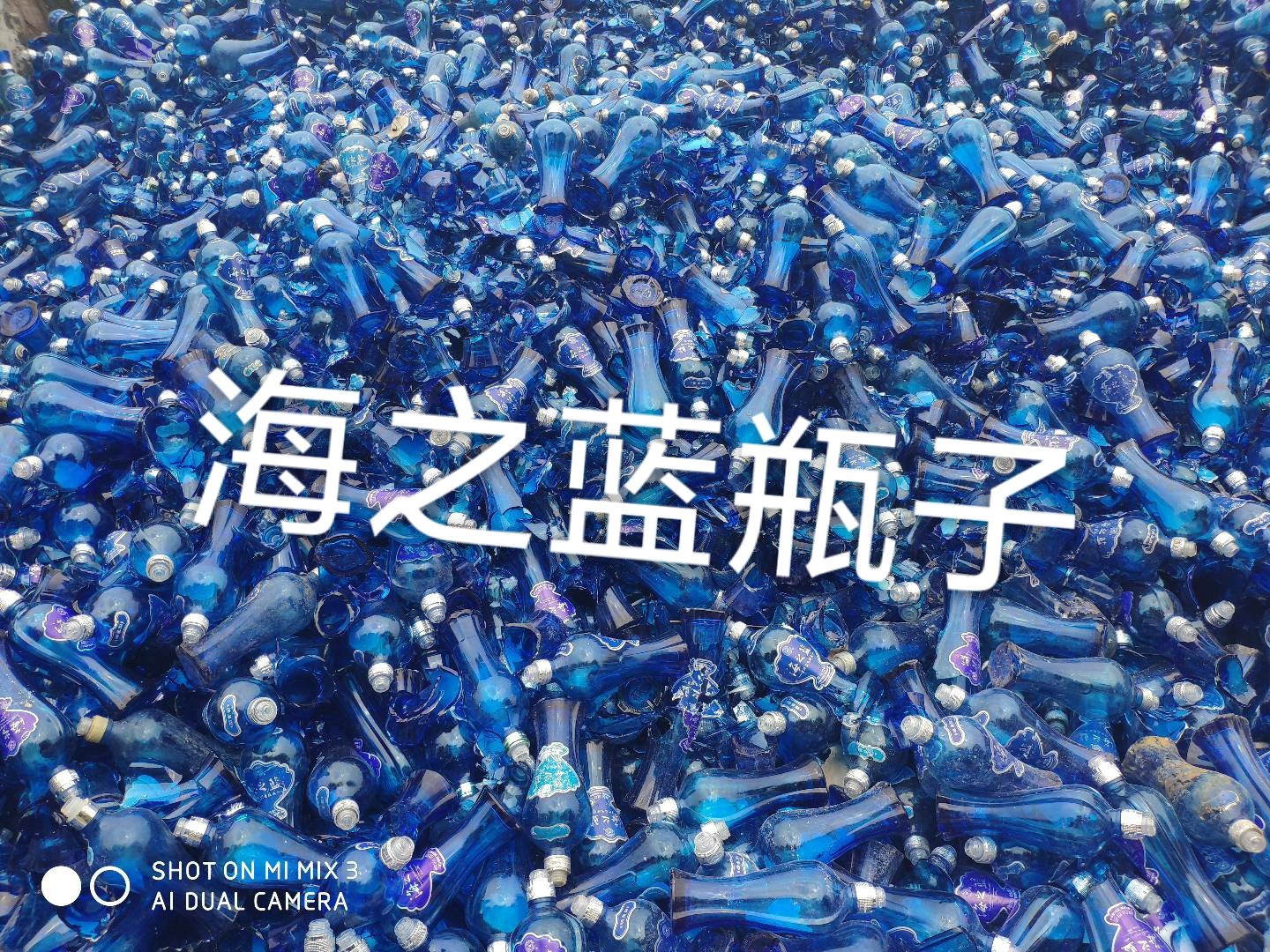 宿迁海之蓝瓶回收